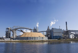Paper Mill 